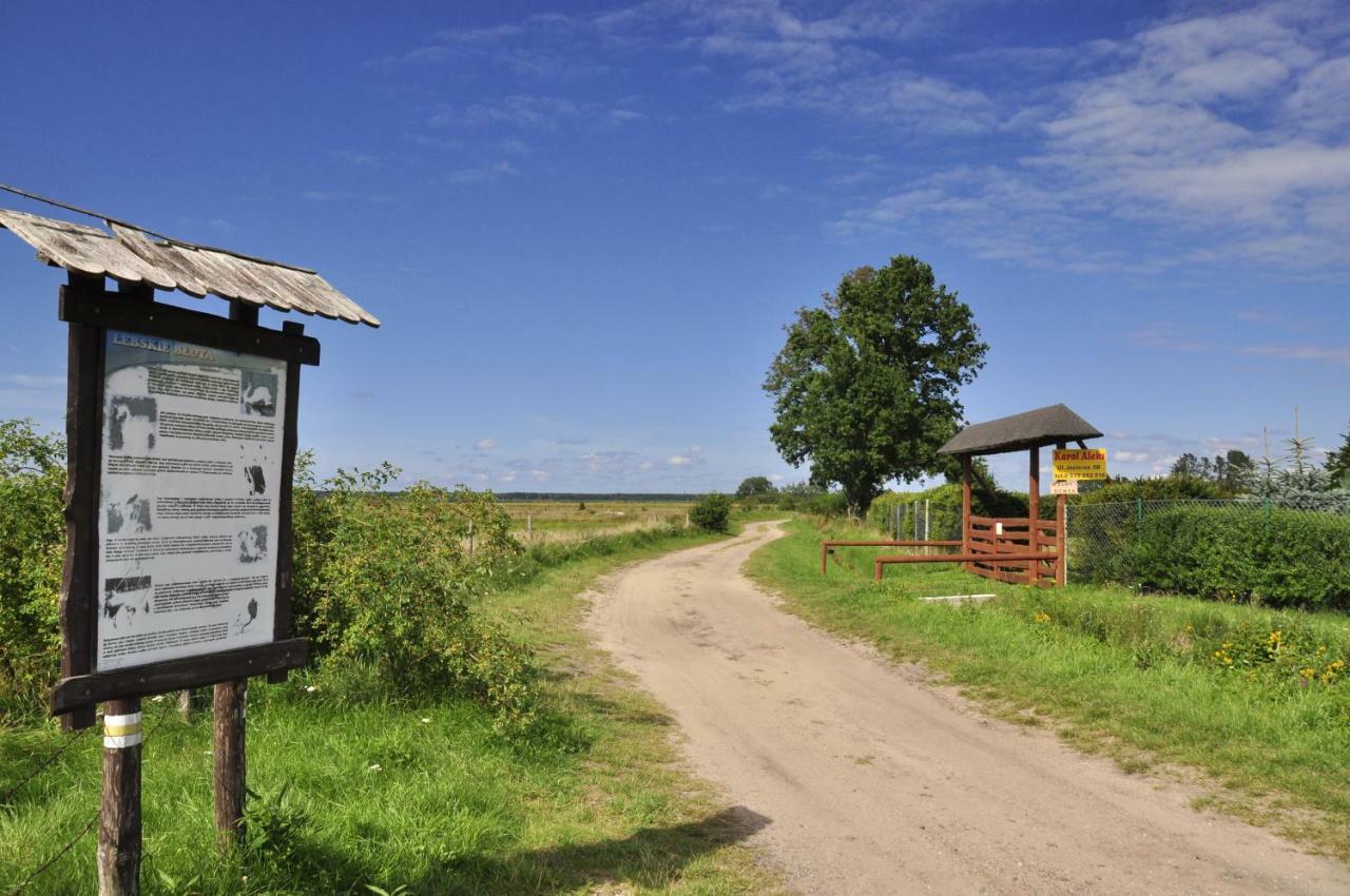 Homebaltic Łeba Eksteriør bilde
