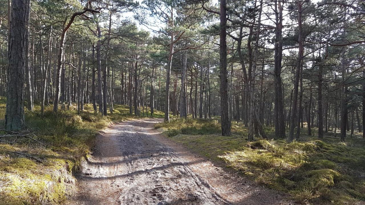 Homebaltic Łeba Eksteriør bilde